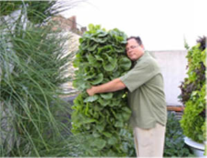Chef John Mooney hugging a plant